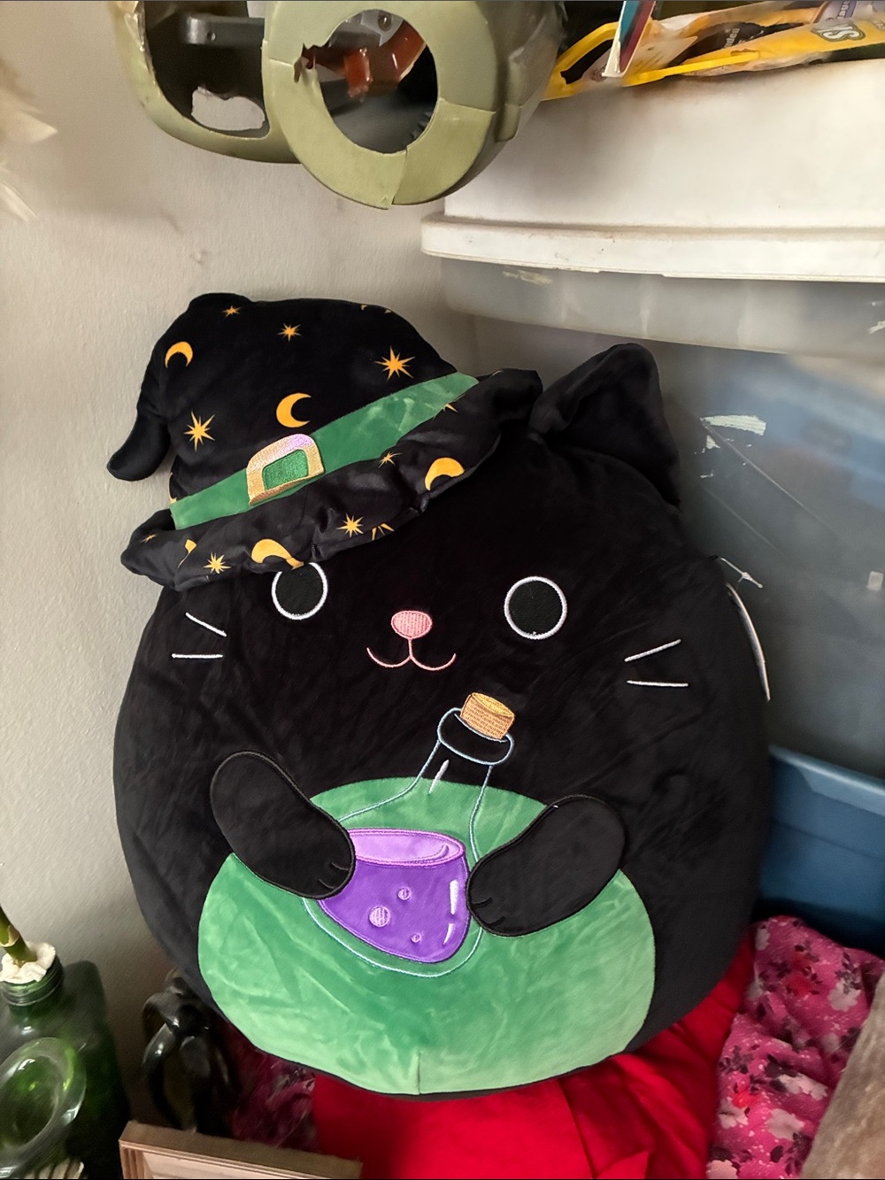 Cleo squishmallows Black Witch Cat super super soft and squishy